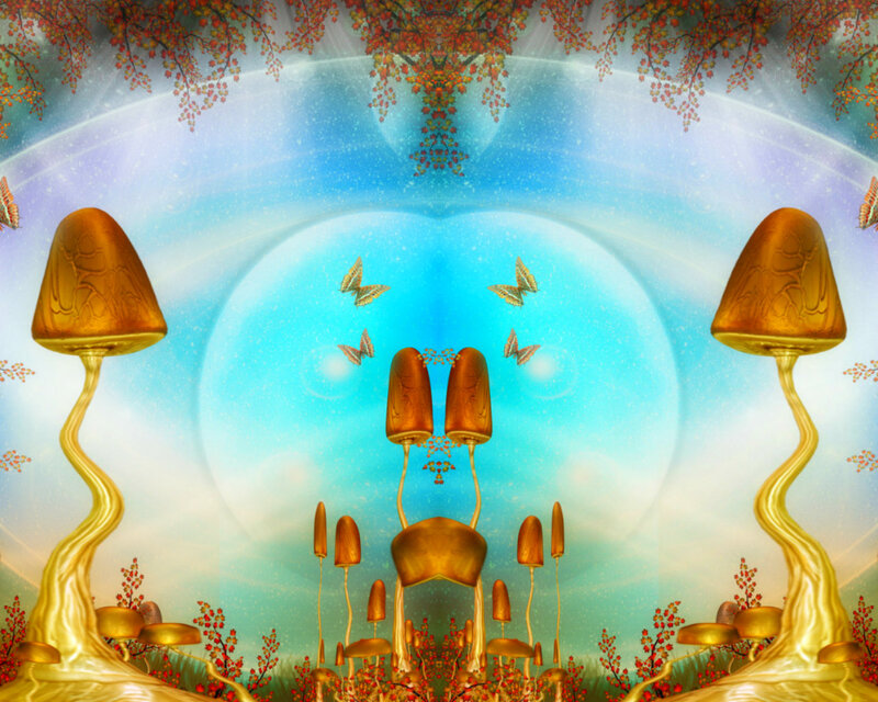 Golden Mushrooms in Forest