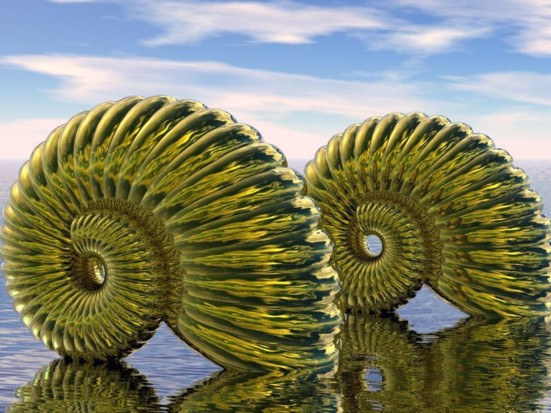 Golden nautilus shells in water