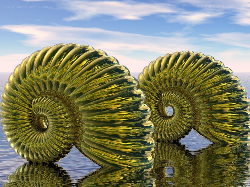 Golden nautilus shells in water