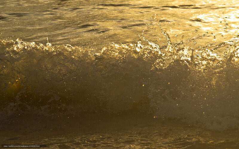 Golden Ocean Wave