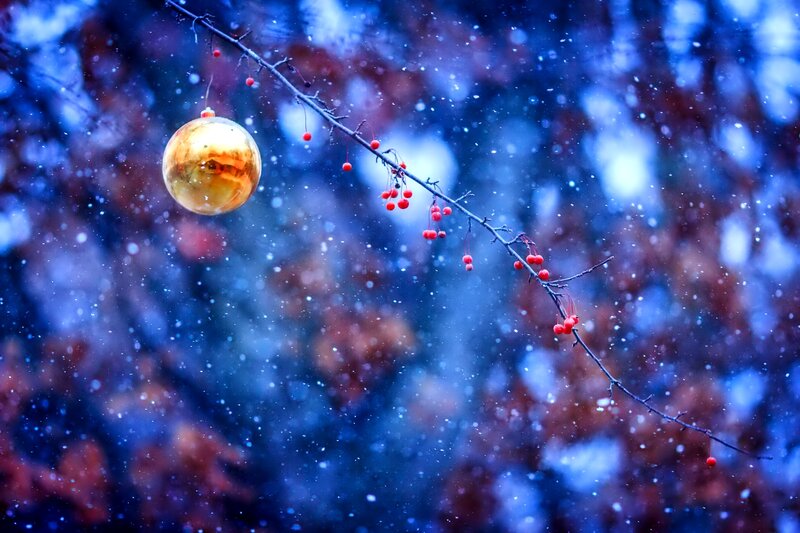 Golden Ornament on Branch — Blue