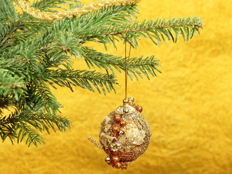 Golden ornament on fir branch
