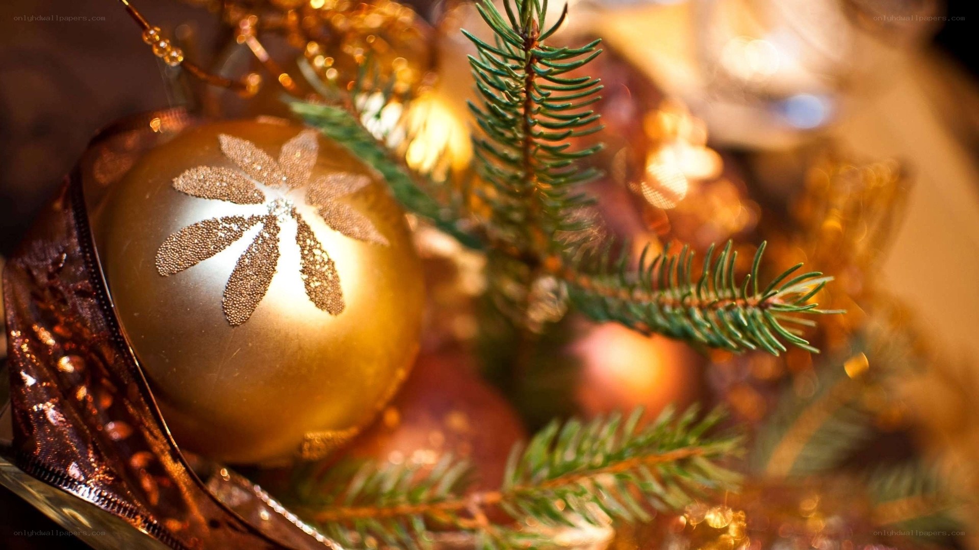 Golden ornament on pine branch