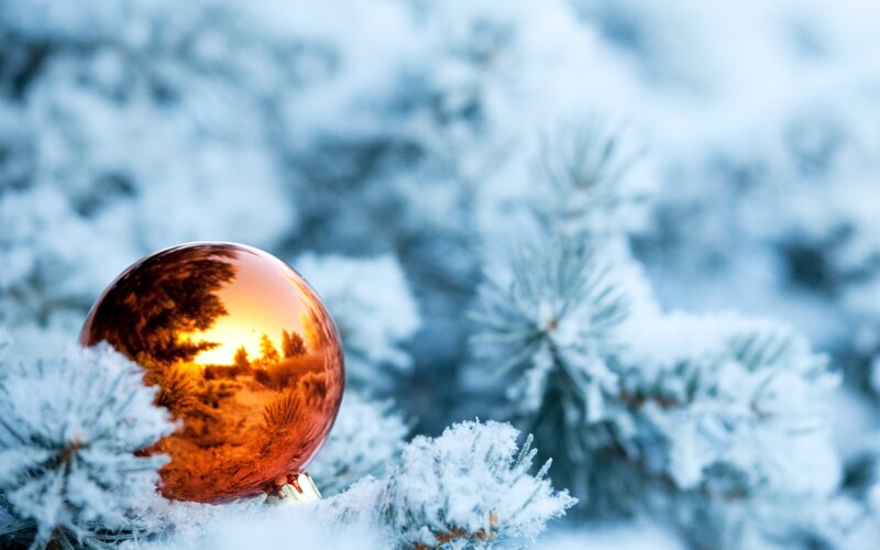 Golden Ornament on Pine — Gold, Serene