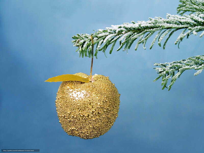 Golden ornament on snowy branch