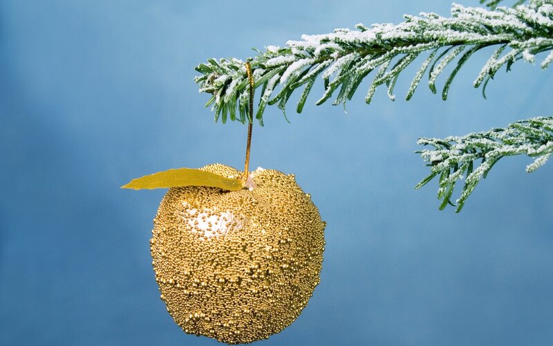 Golden ornament on snowy branch