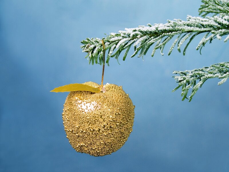 Golden ornament on snowy branch