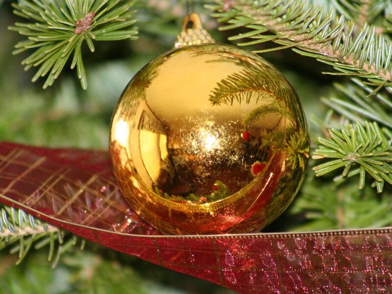 Golden Ornament on Tree — Gold
