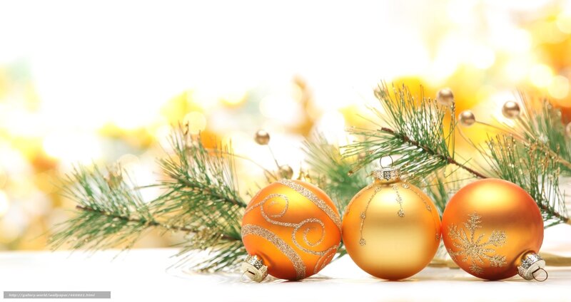 Golden ornaments on pine branches
