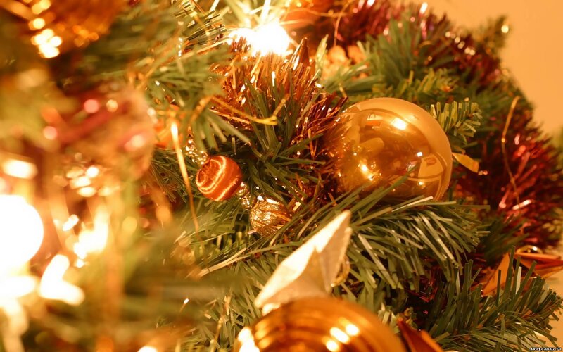 Golden Ornaments on Tree