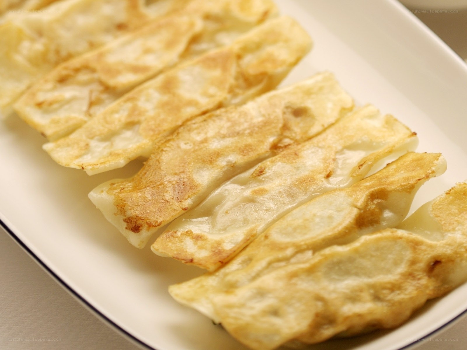 golden pan-fried dumplings