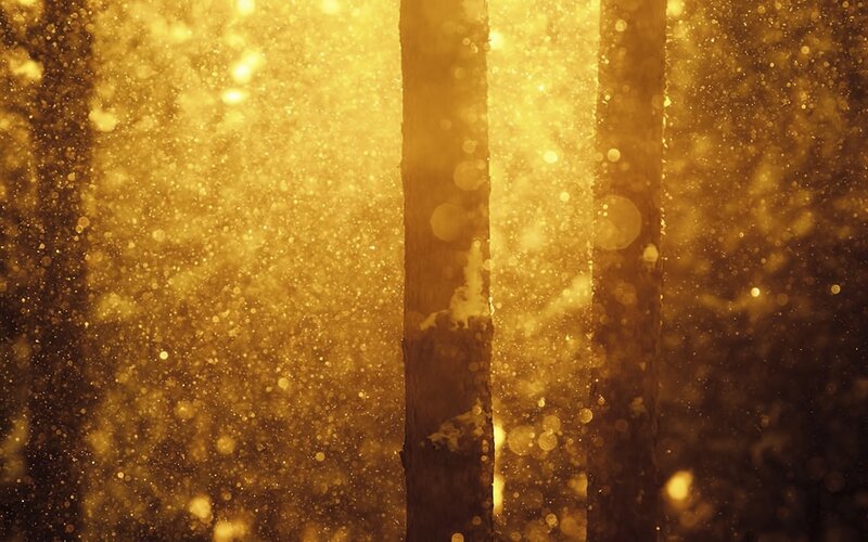 Golden Particles in Air — Gold