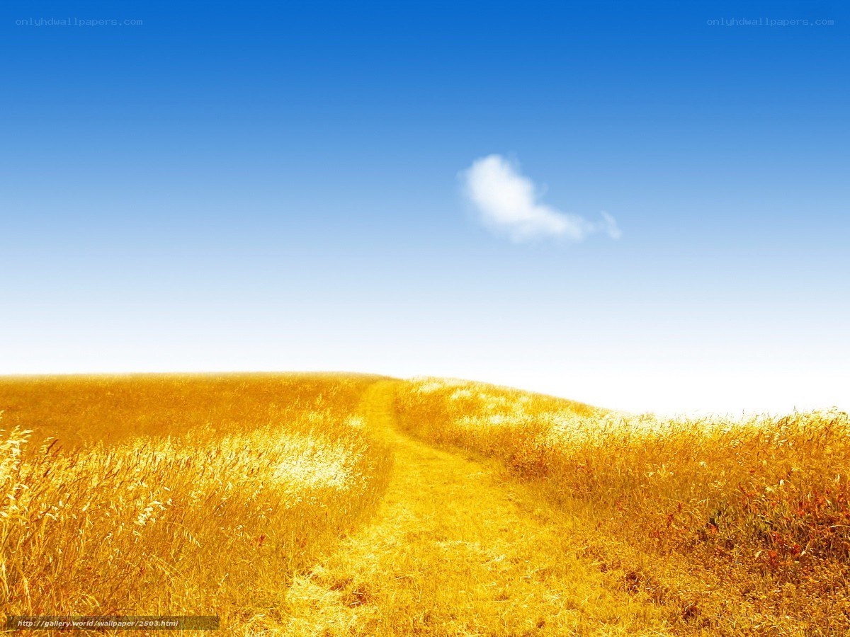 Golden path through a field