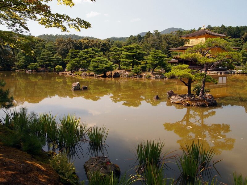 Golden Pavilion by Pond — Green