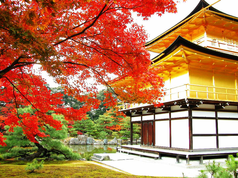 Golden Pavilion in Autumn