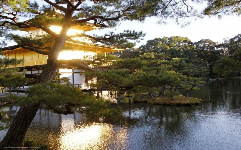 Golden Pavilion in Garden