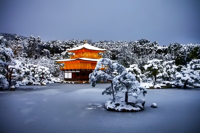 Golden Pavilion in Snow — Gold, Serene
