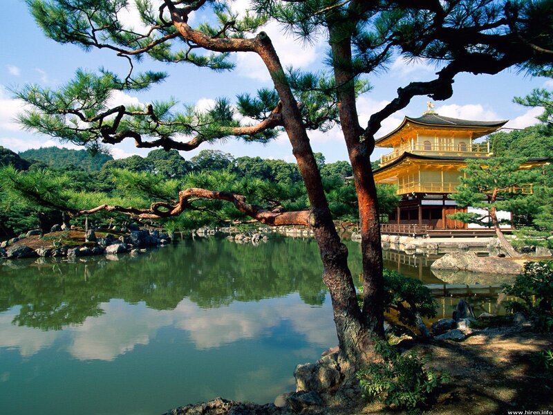 Golden Pavilion reflected in a pond