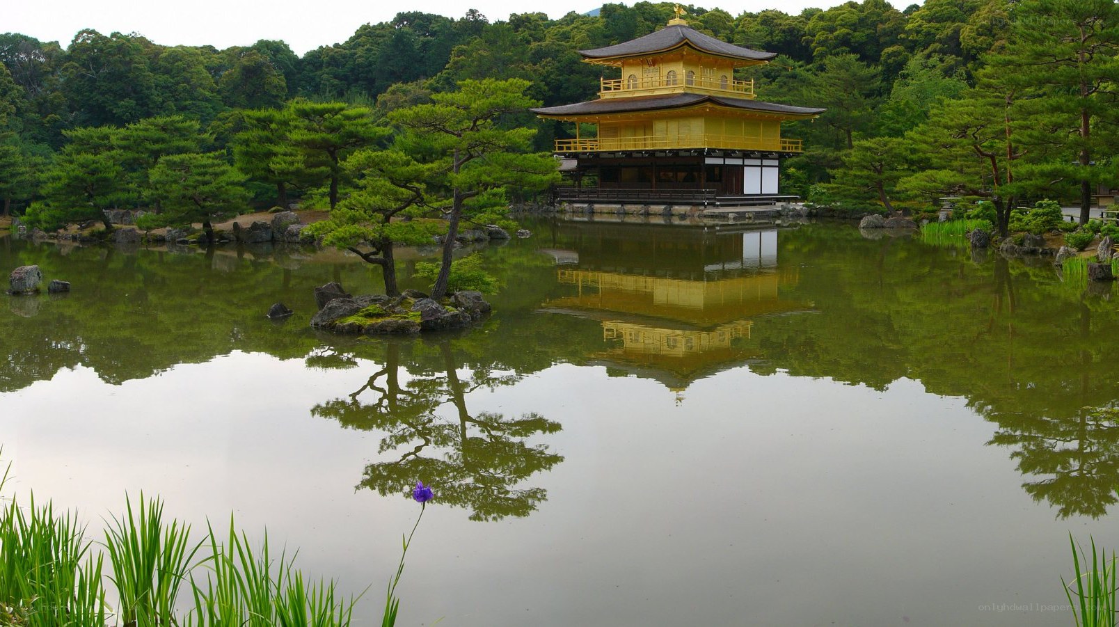 Golden Pavilion reflected in a pond