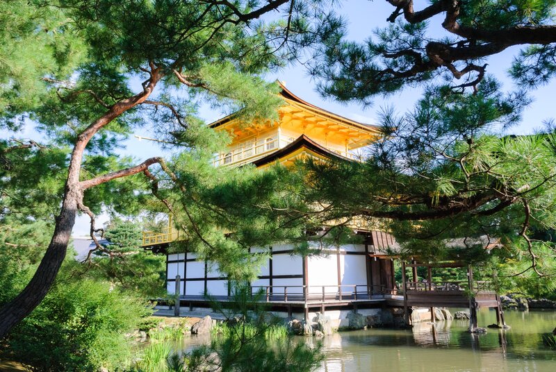 Golden Pavilion Temple — Gold, Serene, Afternoon, Photograph, Pine Trees
