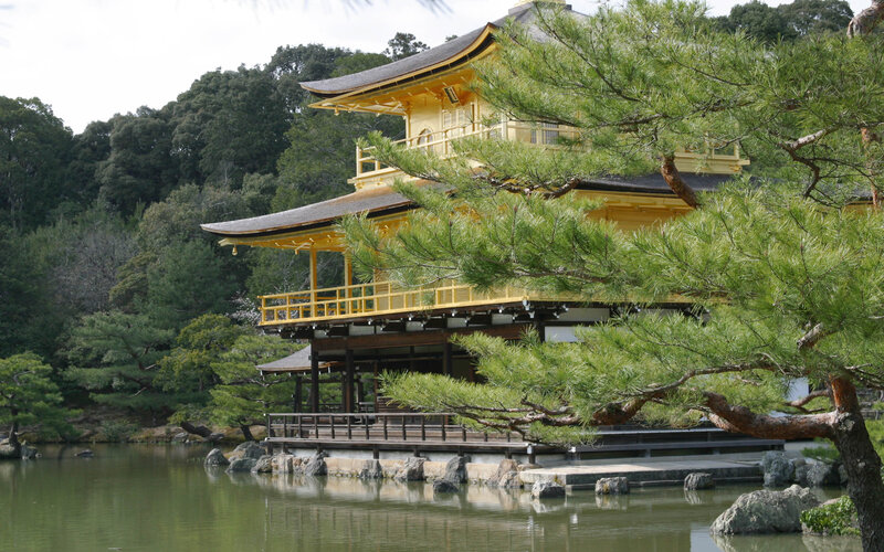 Golden Pavilion Temple — Gold, Serene, Afternoon, Photograph, Pond, Pine Tree