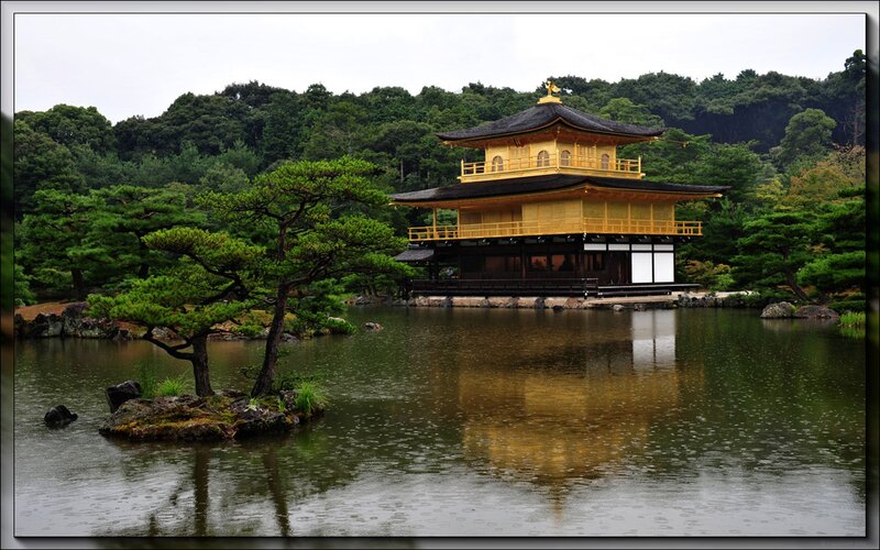 Golden Pavilion Temple — Gold, Serene, Photograph