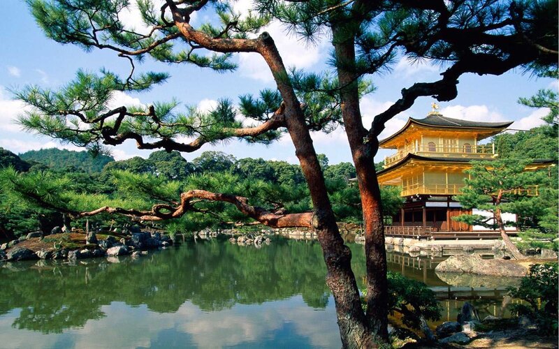 Golden Pavilion Temple — Green, Serene, Afternoon, Photograph, Pine Tree, Pond, Mountain