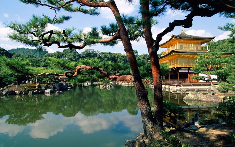 Golden Pavilion Temple — Green, Serene, Afternoon, Photograph, Pond, Pine Tree, Mountain, Gold