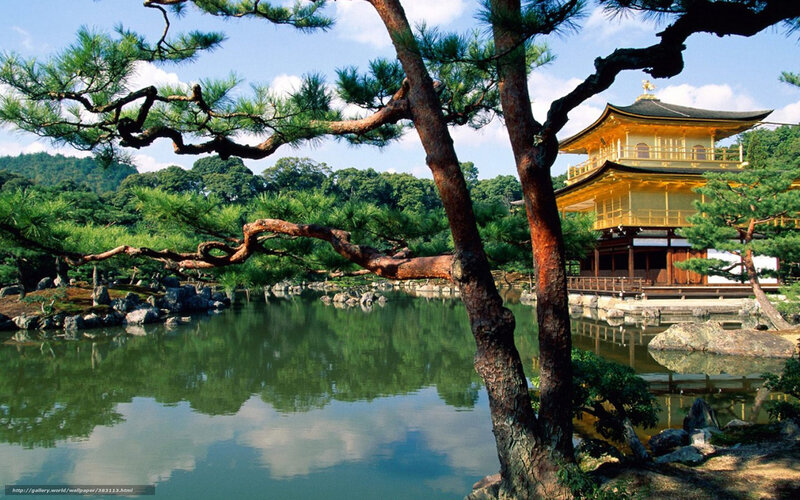 Golden Pavilion Temple — Green, Serene, Afternoon, Photograph, Pond, Pine Tree
