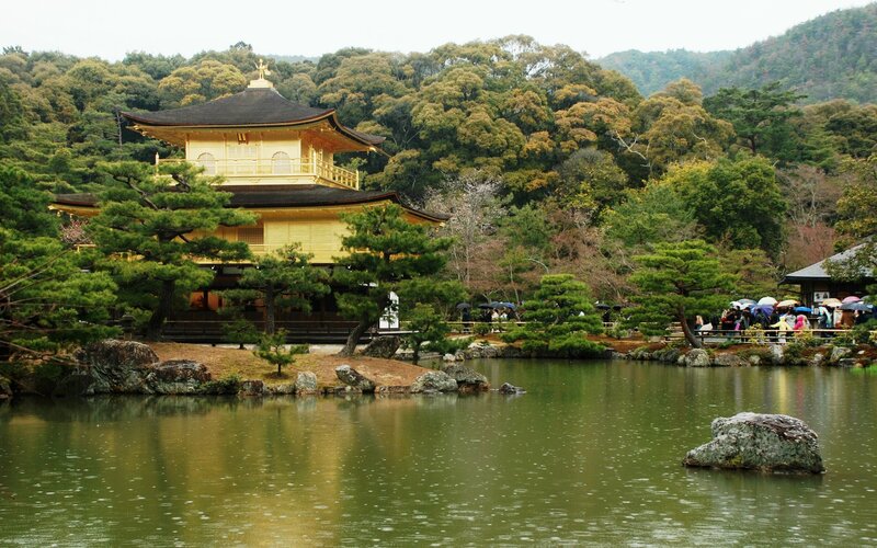 Golden Pavilion Temple — Green, Serene, Autumn, Photograph