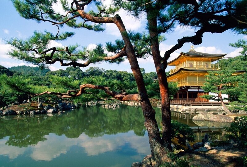 Golden Pavilion Temple — Green, Serene