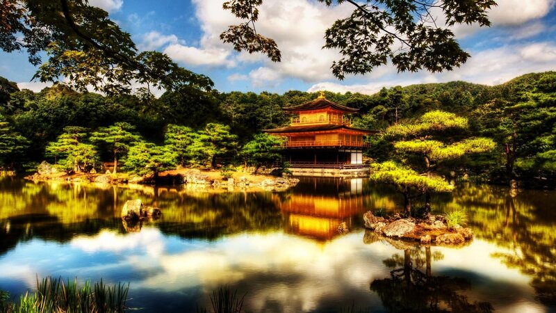 Golden Pavilion Temple — Trees