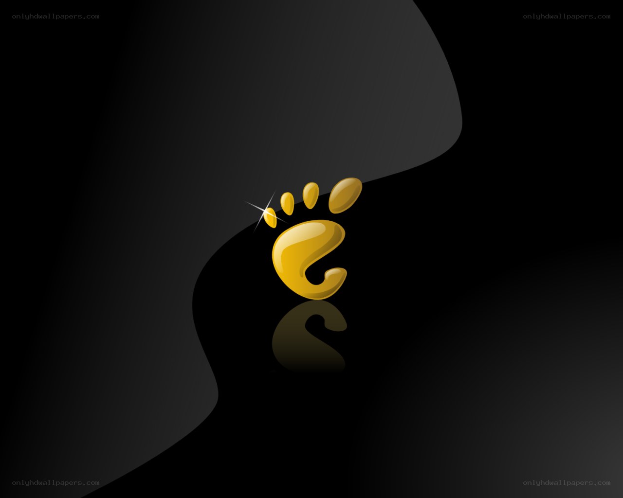 golden paw print logo