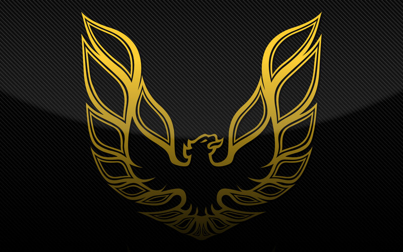 Golden phoenix emblem on carbon fiber