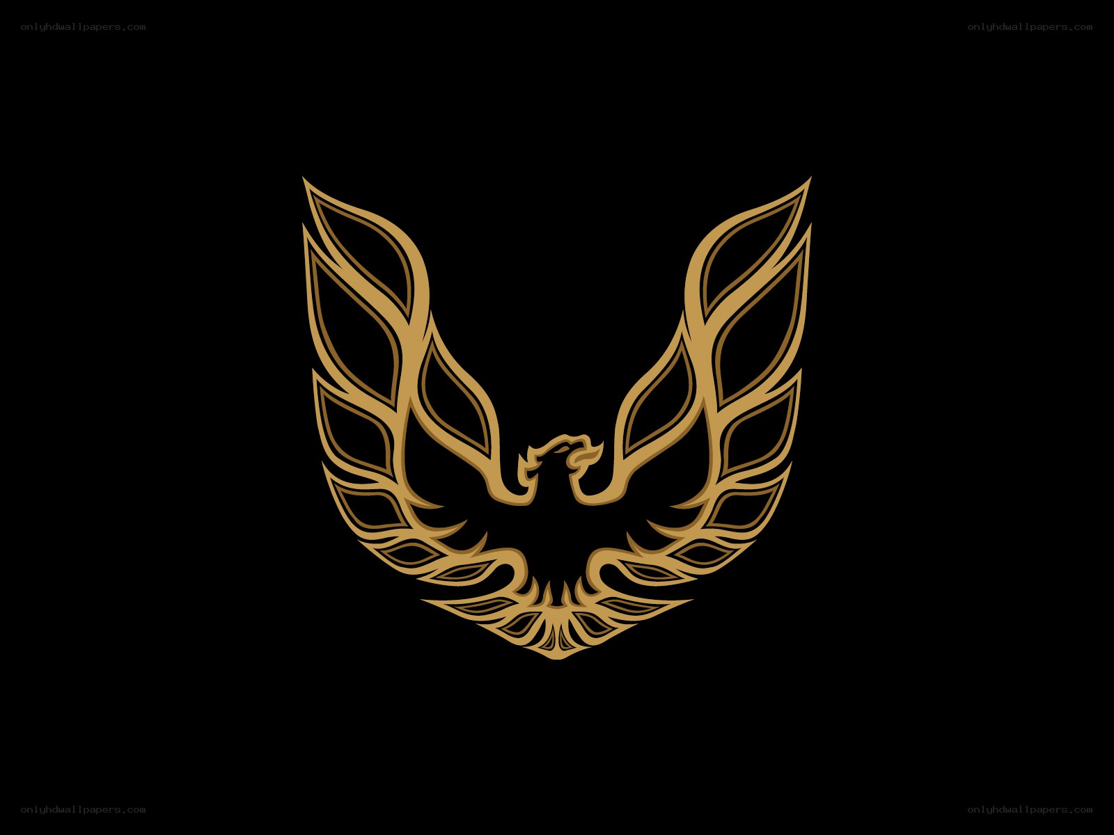 golden phoenix emblem