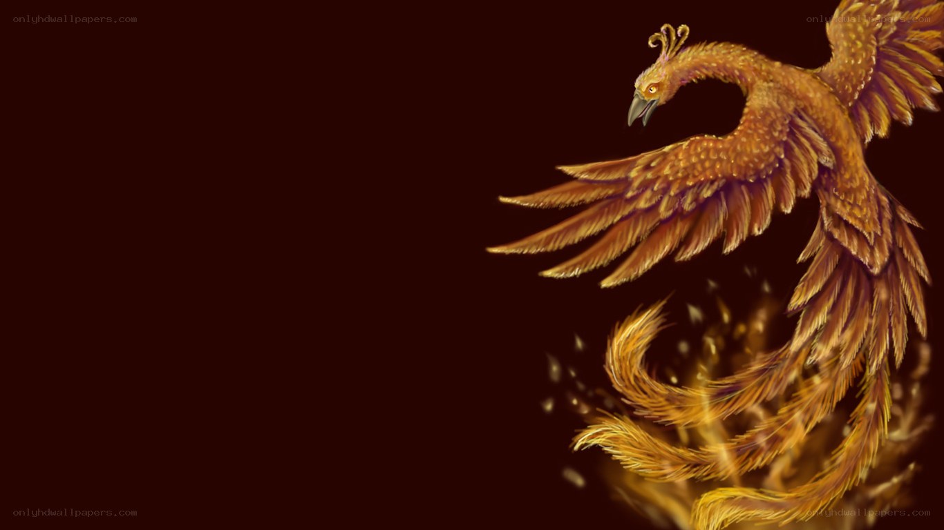 golden phoenix in flight