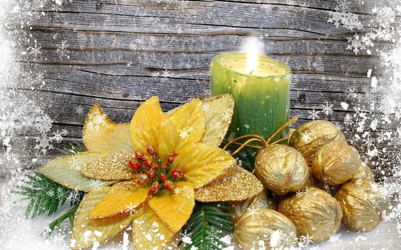 Golden Poinsettia with Candle