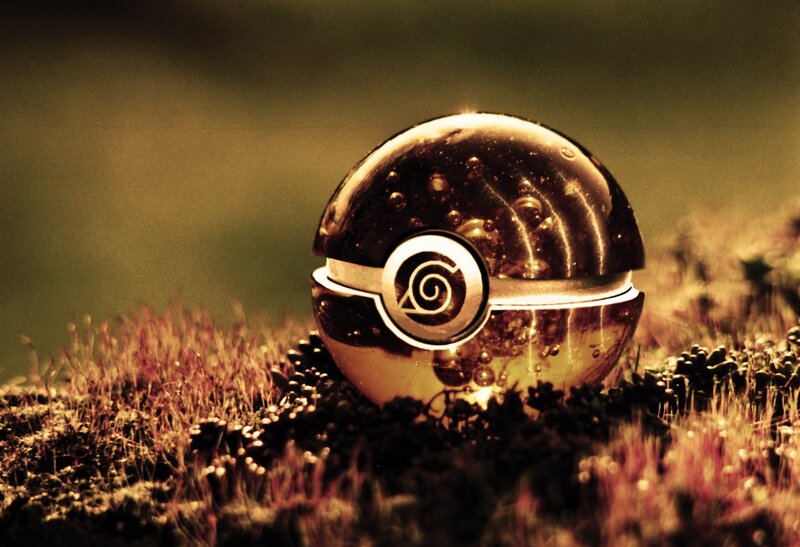 Golden Pokeball on Moss