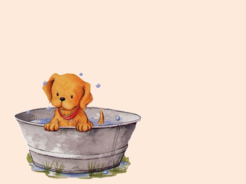 Golden Puppy in Tub