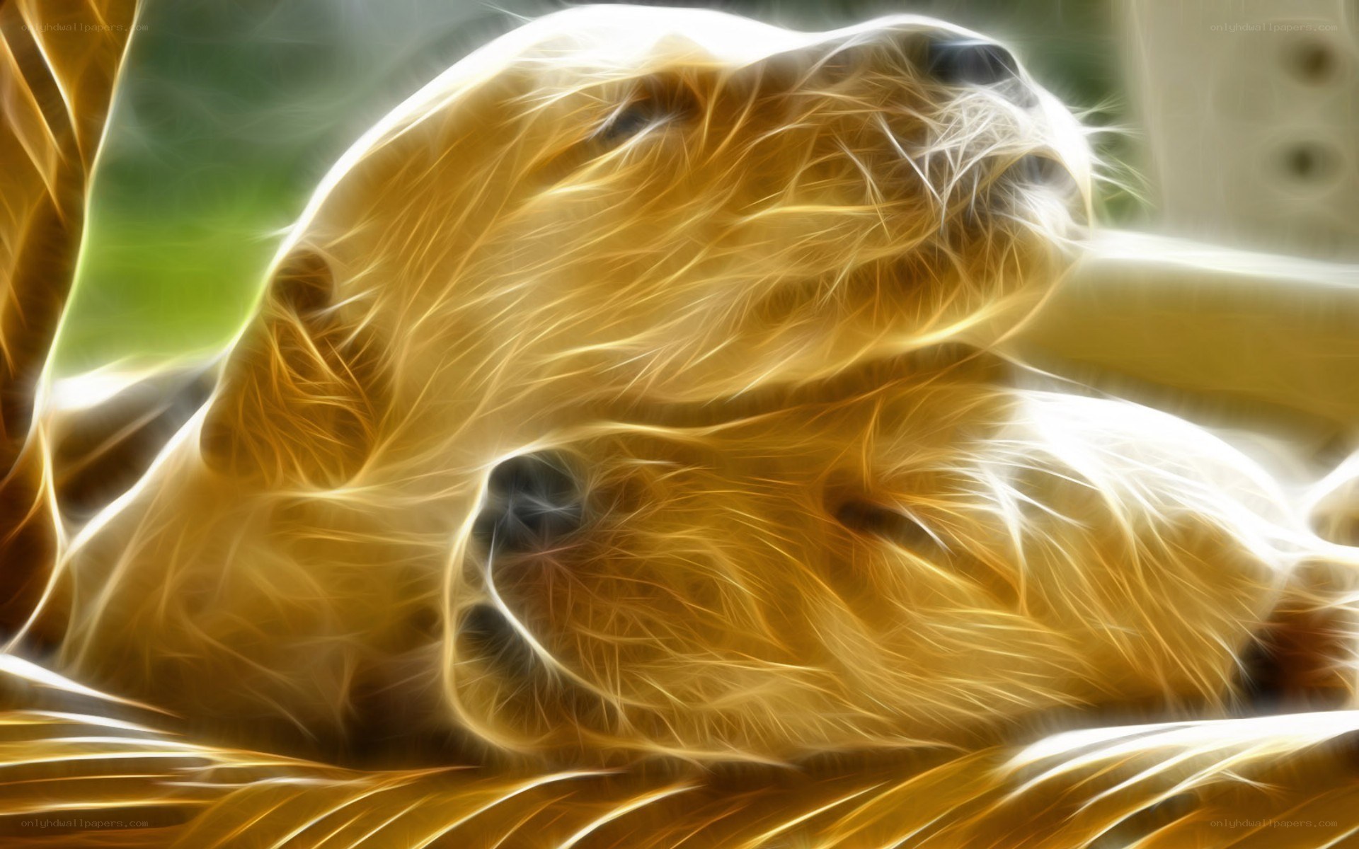 Golden puppy with glowing effect