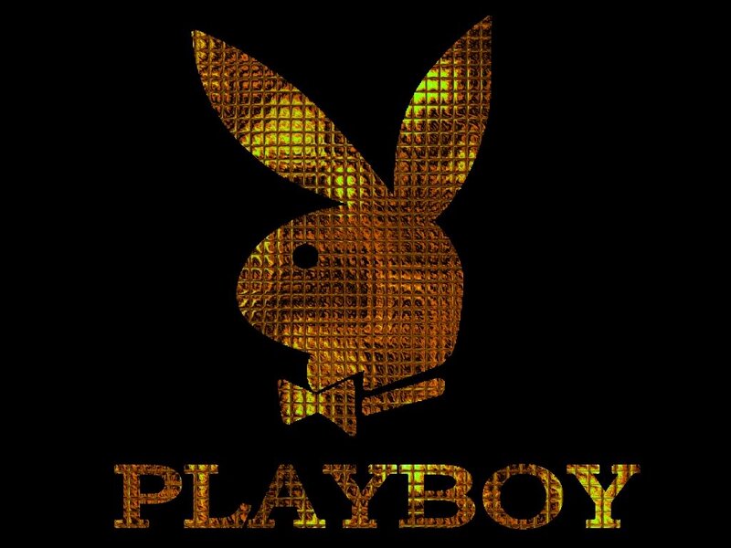 Golden Rabbit Logo