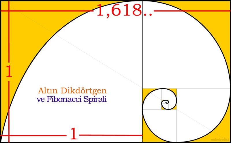 Golden Ratio and Fibonacci Spiral