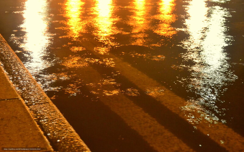 Golden reflections on wet pavement