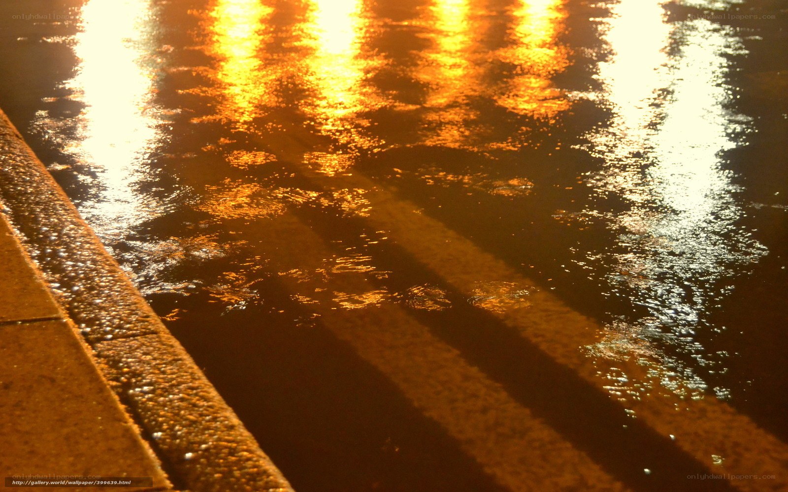 Golden reflections on wet pavement
