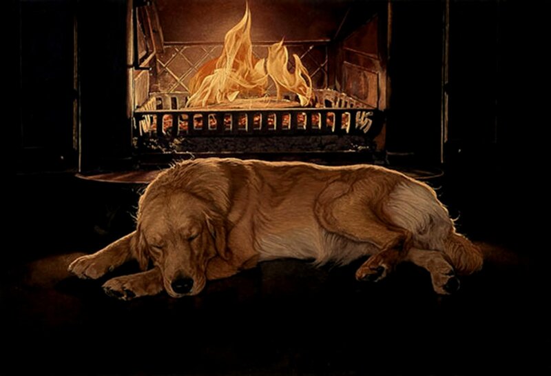 Golden Retriever Dog — Brown, Calm, Night
