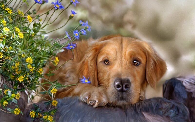 Golden Retriever Dog — Brown, Calm, Spring, Digital Art