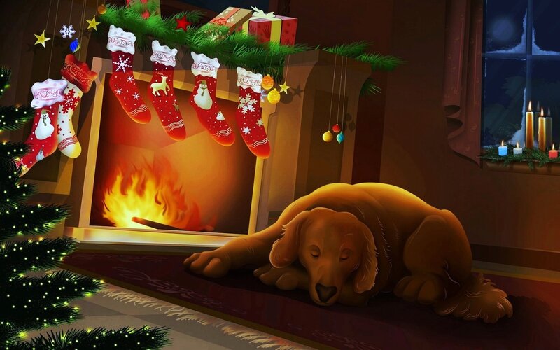 Golden Retriever Dog — Brown, Cozy