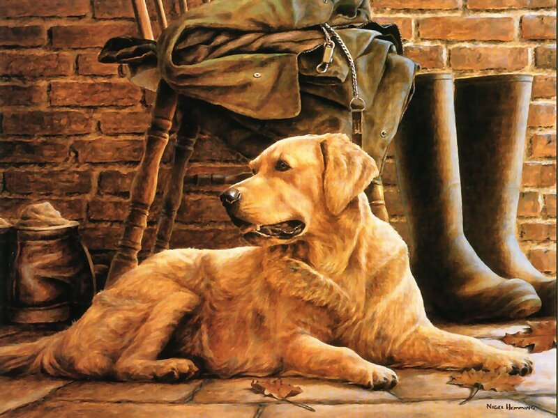 Golden Retriever Dog — Brown