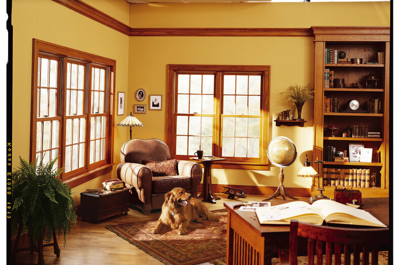 Golden Retriever Dog — Yellow, Cozy