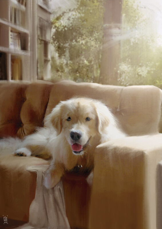 Golden Retriever on Couch — Beige
